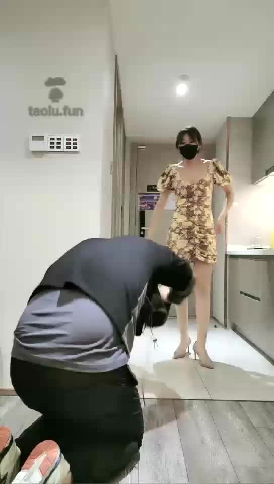 冰火几重天-若依