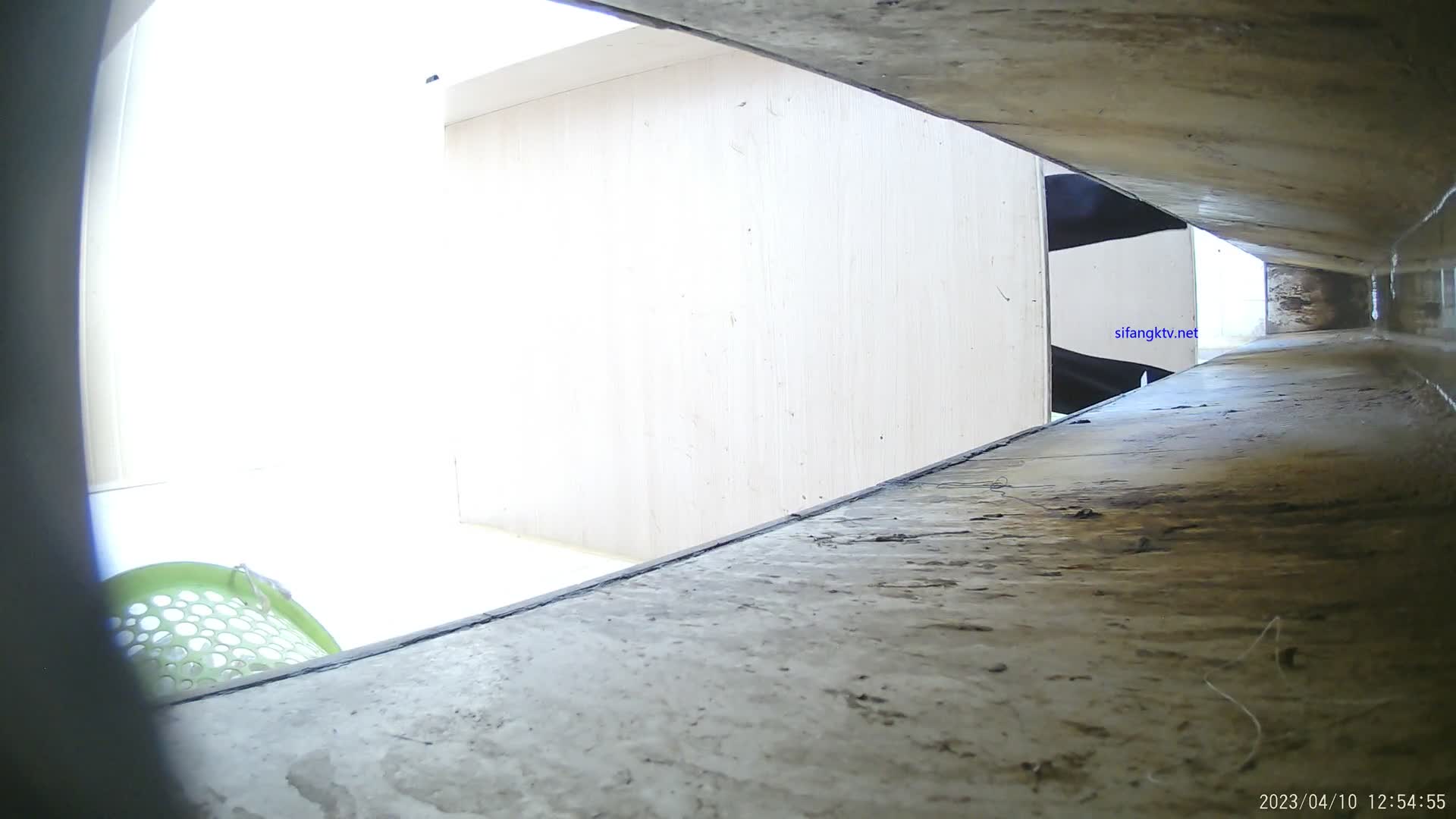 23年度厕沟新作 (24)