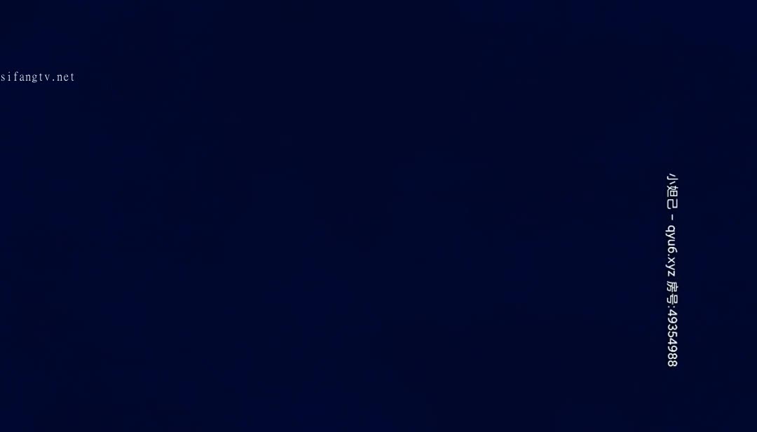 极品探花【赵总探花赵总寻花】合集【139V】 (101)