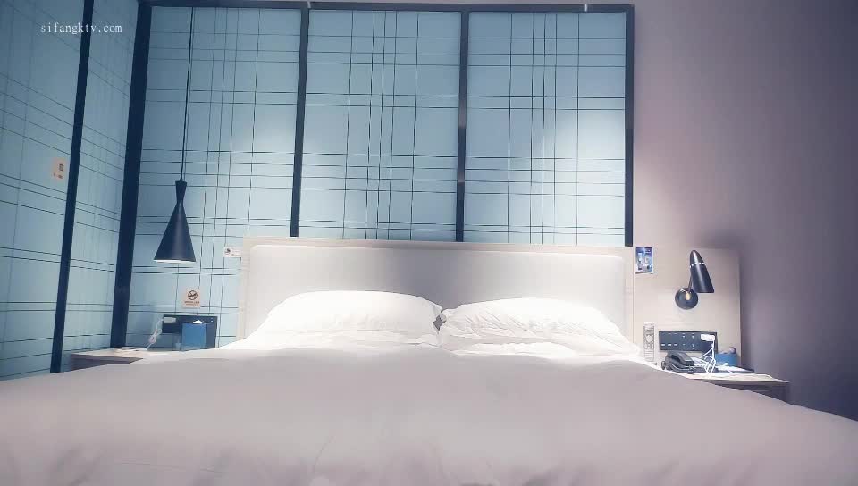 极品探花【赵总探花赵总寻花】合集【139V】 (77)