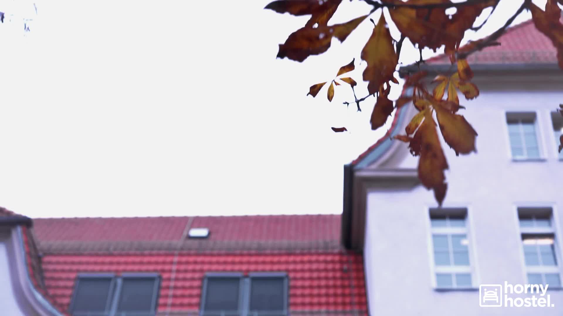 hornyhostel.19.12.26.gabi.gold-sample