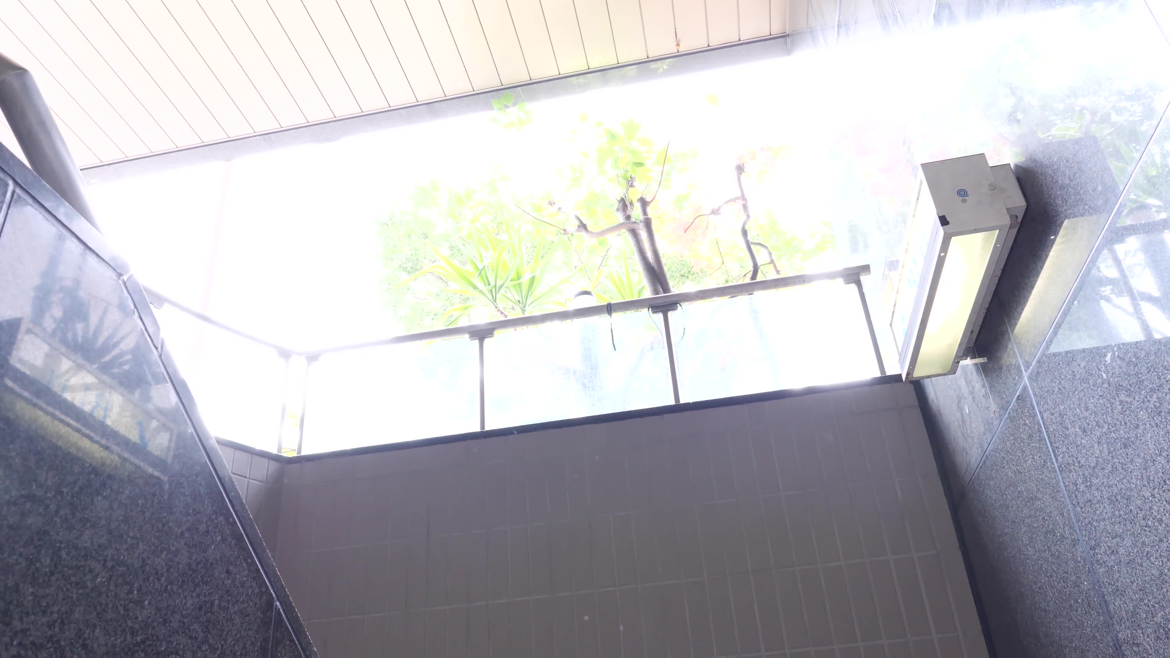 hhd800.com@vec00677_4Ks