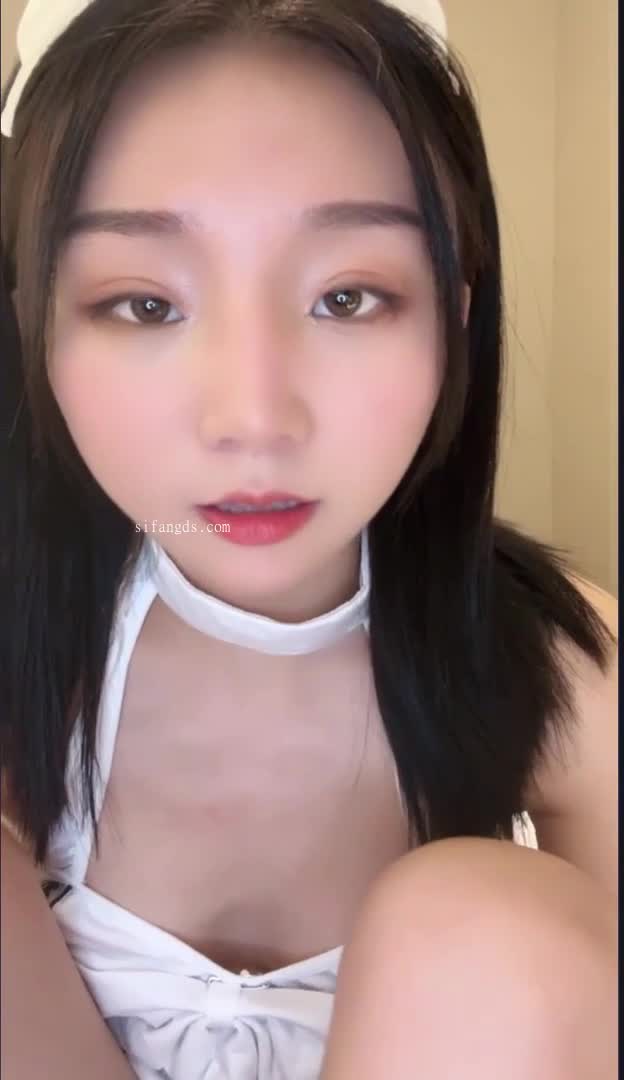 可可奶蛋20241021