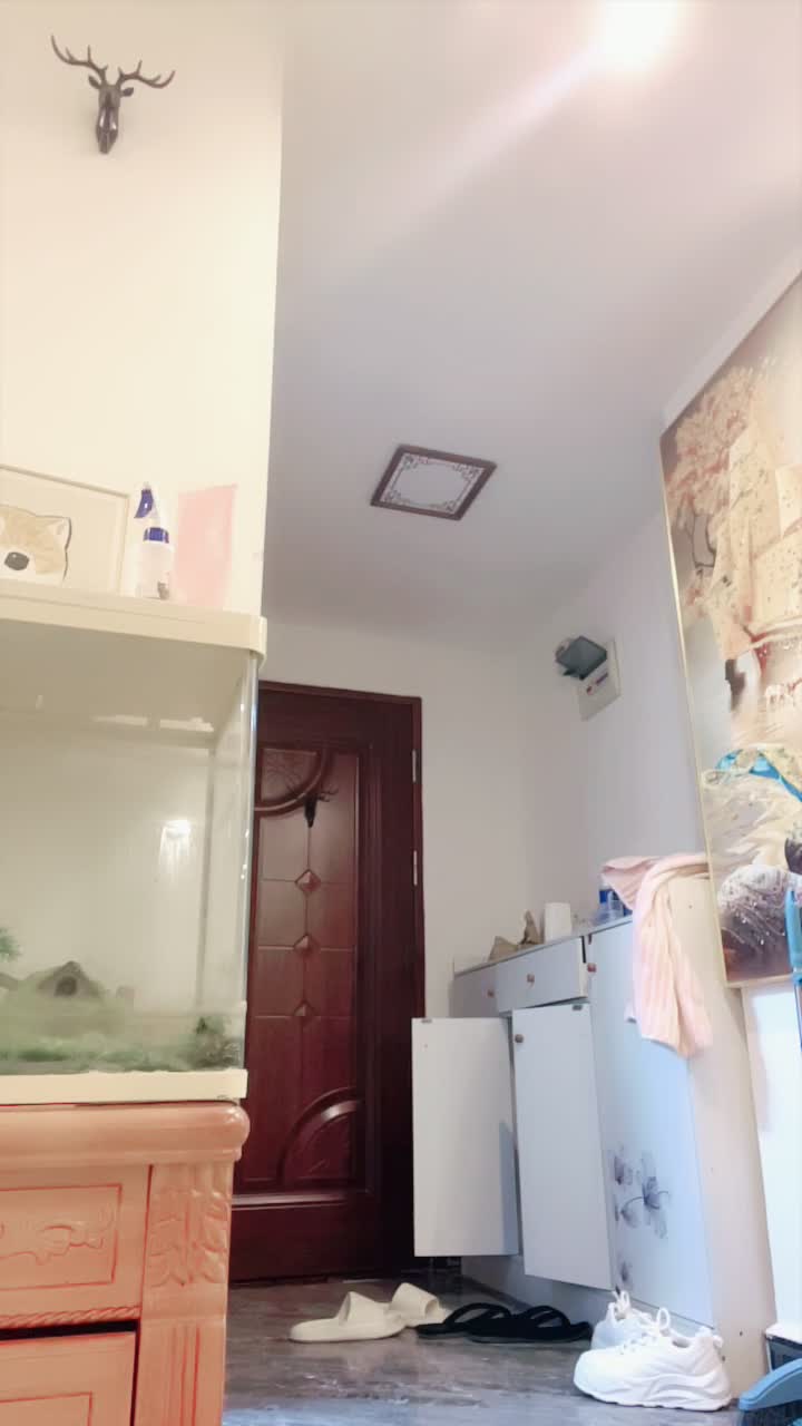 2048.hk@小鱼小馒头20250620_034643