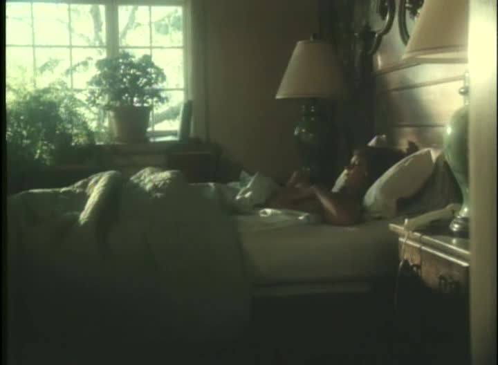 C-1985Hotblooded(KayParker,CaraLott,ColleenBrennan,KarenSummer,HarryReems,HershelSavage,R