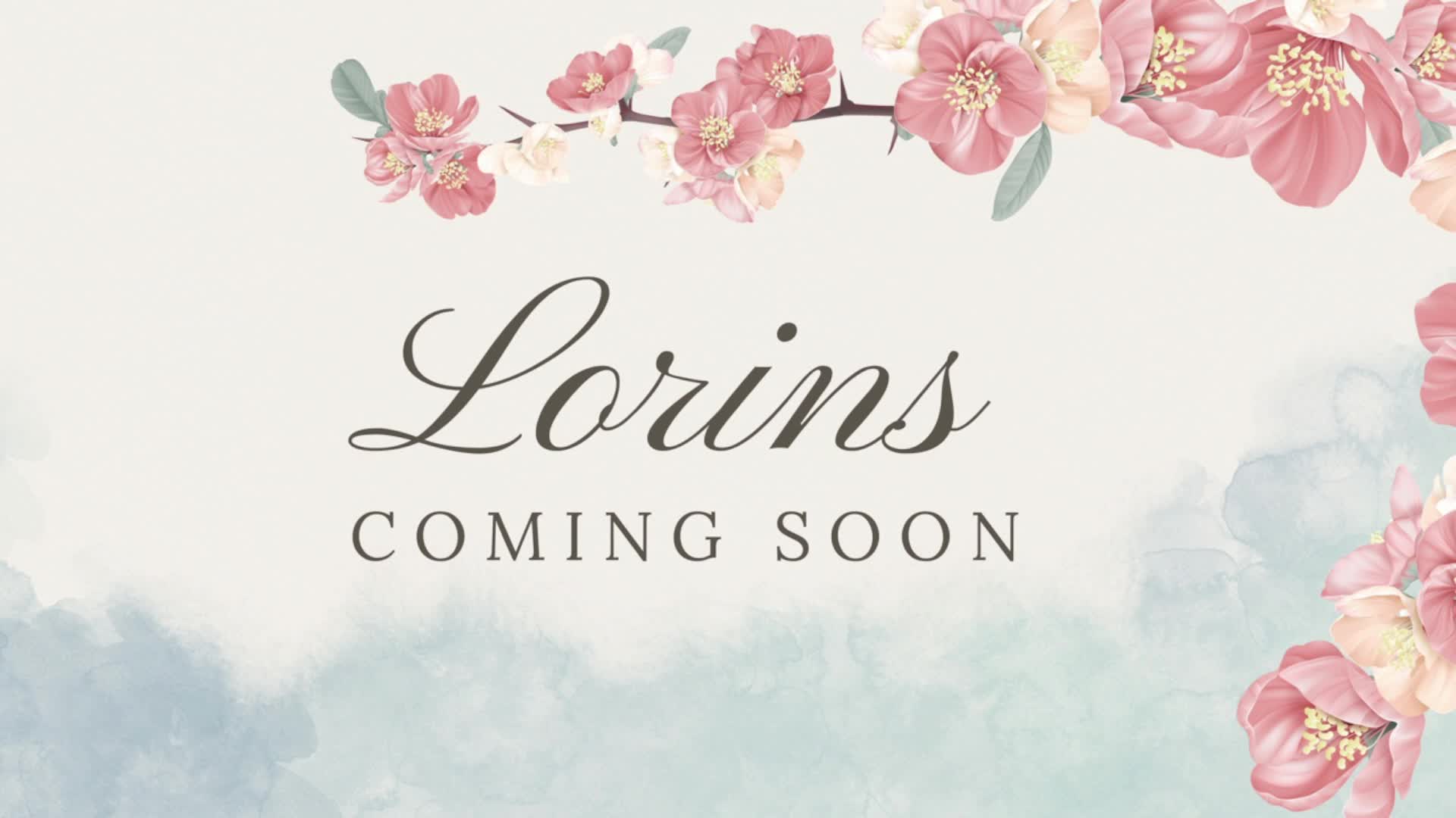 2048.hk@洛林斯lorins2002_2025-08-31_17-54-25