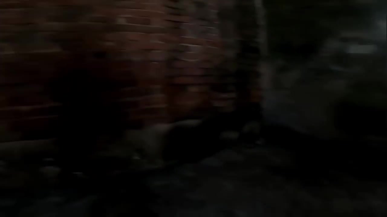 2048.hk@东莞黄江扫大街，80元也有极品