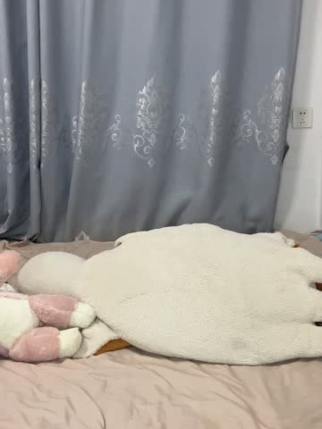 2048.hk@Z0E999_20250927_0138