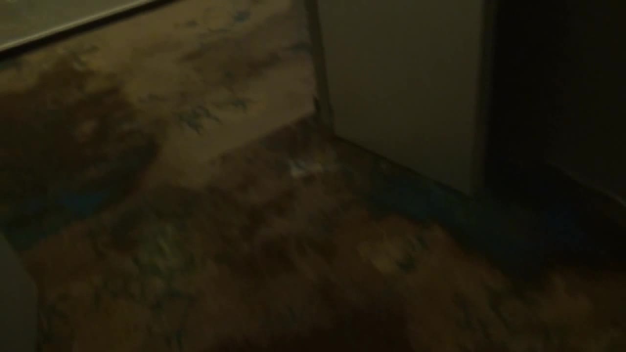 天堂制作-素人约啪最新第十一季：职场新人求职潜规则之中出面试-1080P高清版