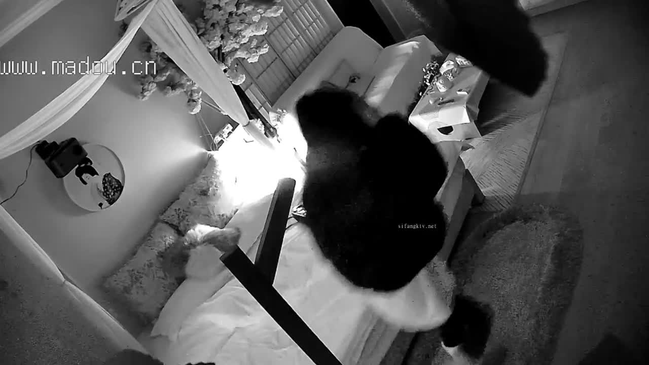 2048.cc@1-28美女被按在沙发上亲吻摸胸插入后变淫娃