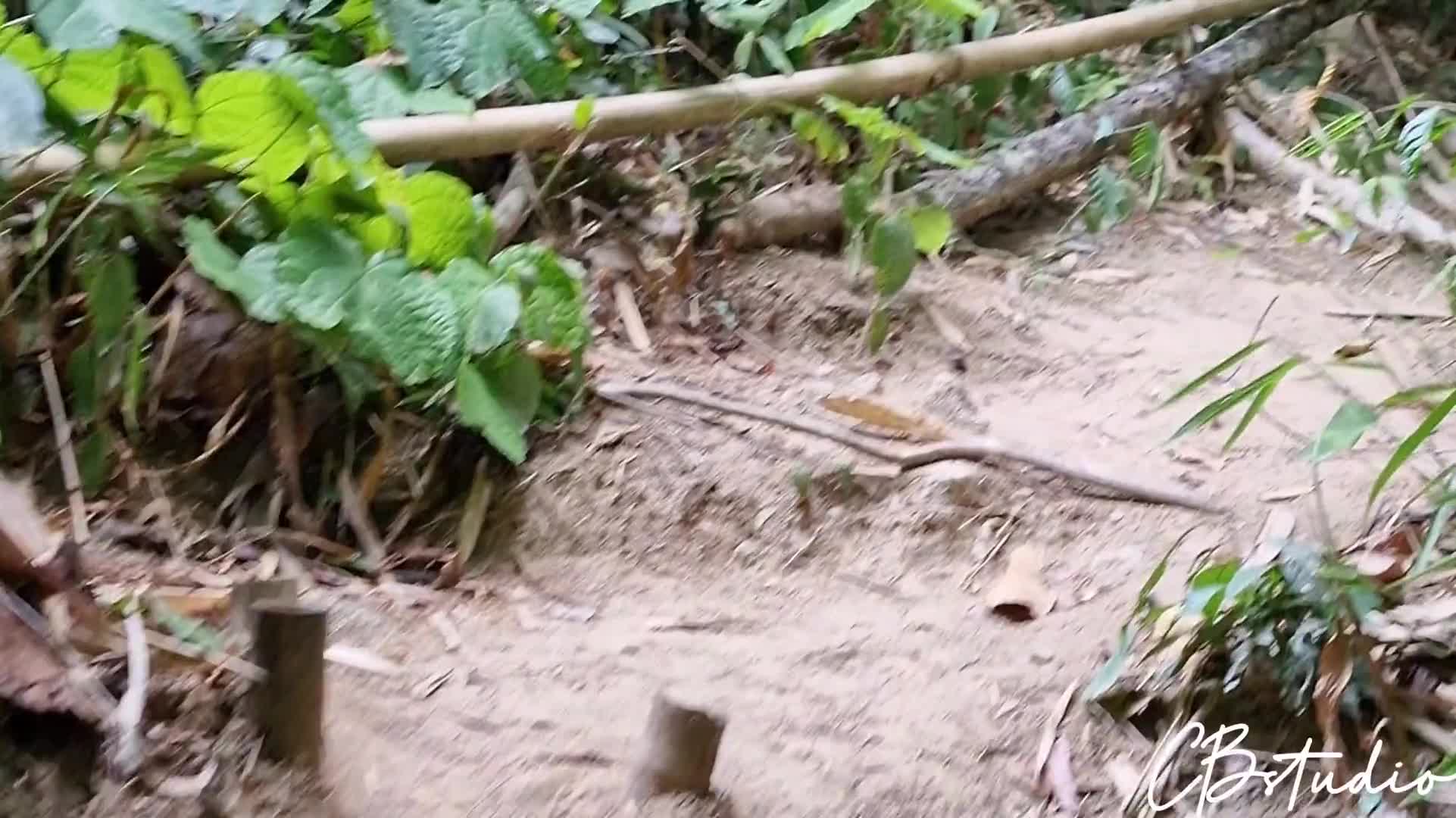 2048.hk@丛林中的性爱 - Pornhub.com