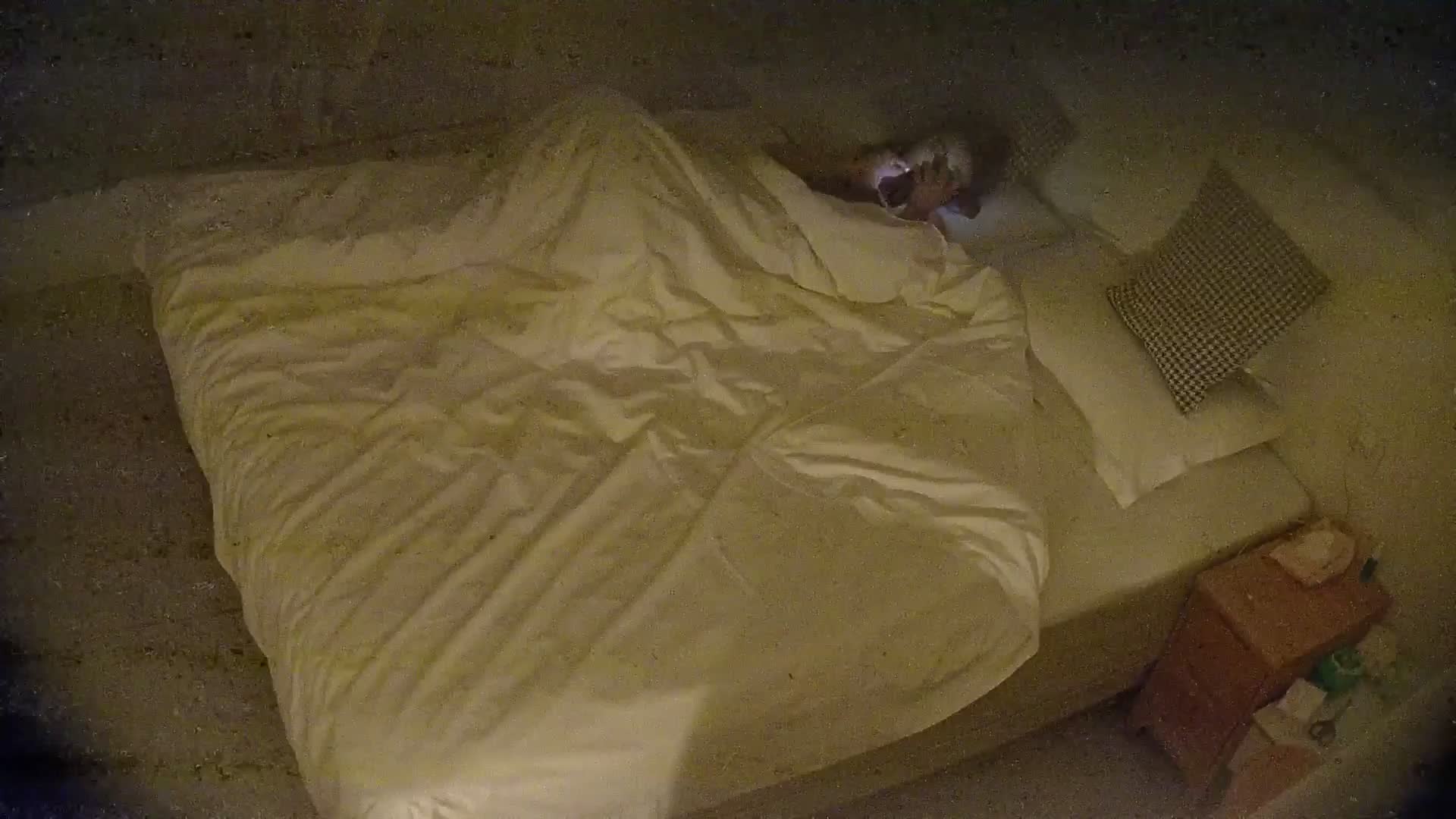 2048.hk@2026-01-13_11-15-39-299485