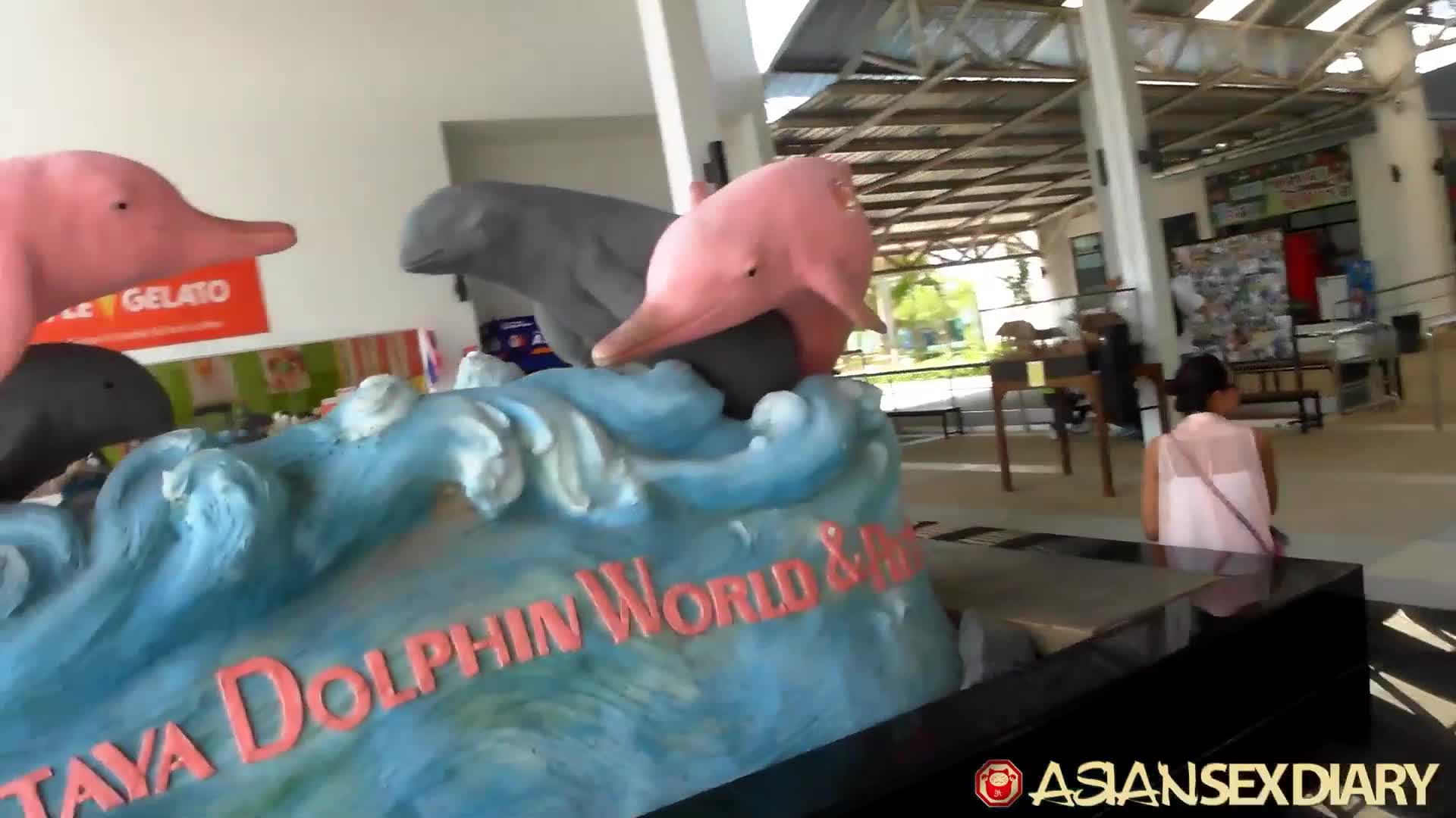 2048.hk@[2025_09_19][Thai]Dolphin_show
