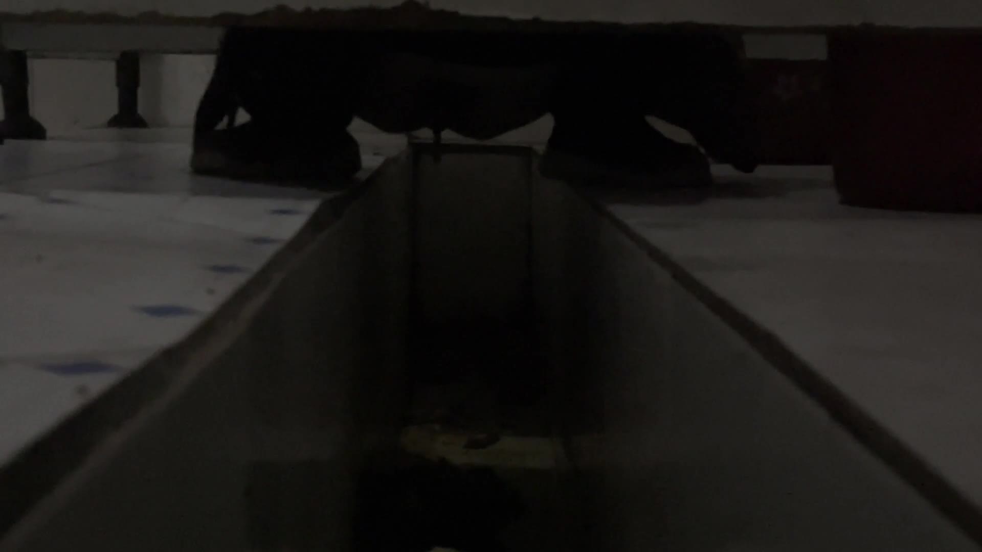 2048.hk@2048.hk@(71)