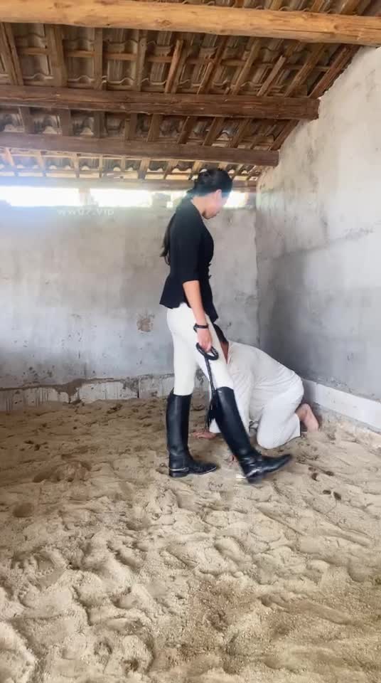 2048.hk@胖虎TJ：成为爱丽丝主人的阶下囚囚犯在马屋犯贱当马清理皮鞋上的马屎舔脚骑马抽打语言羞辱2025-06-16