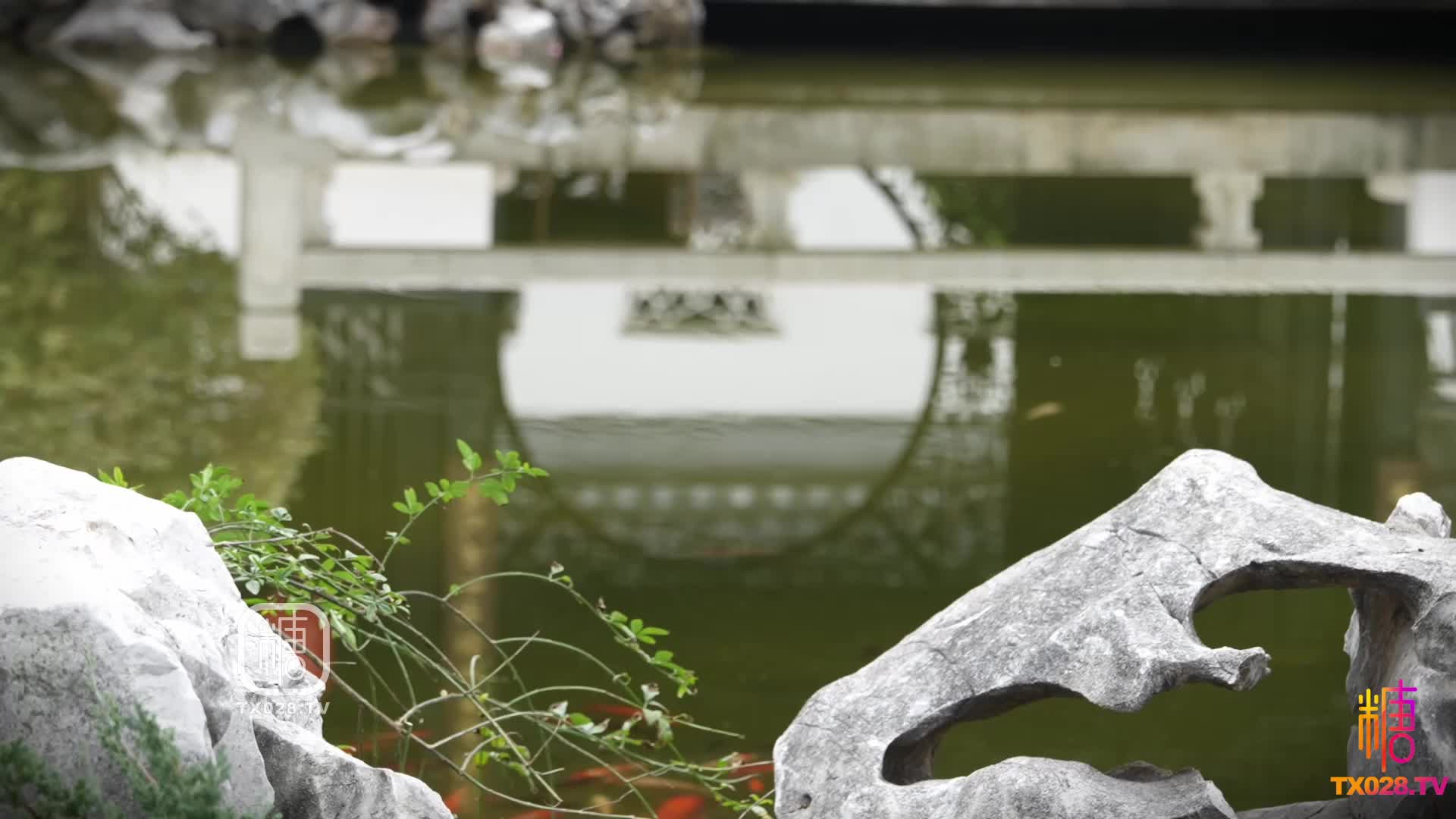 2048.vip-新年特辑3】柴郡cos淘气柴郡被哥哥内射中出 哥哥你干的我好爽-明纱 悠子