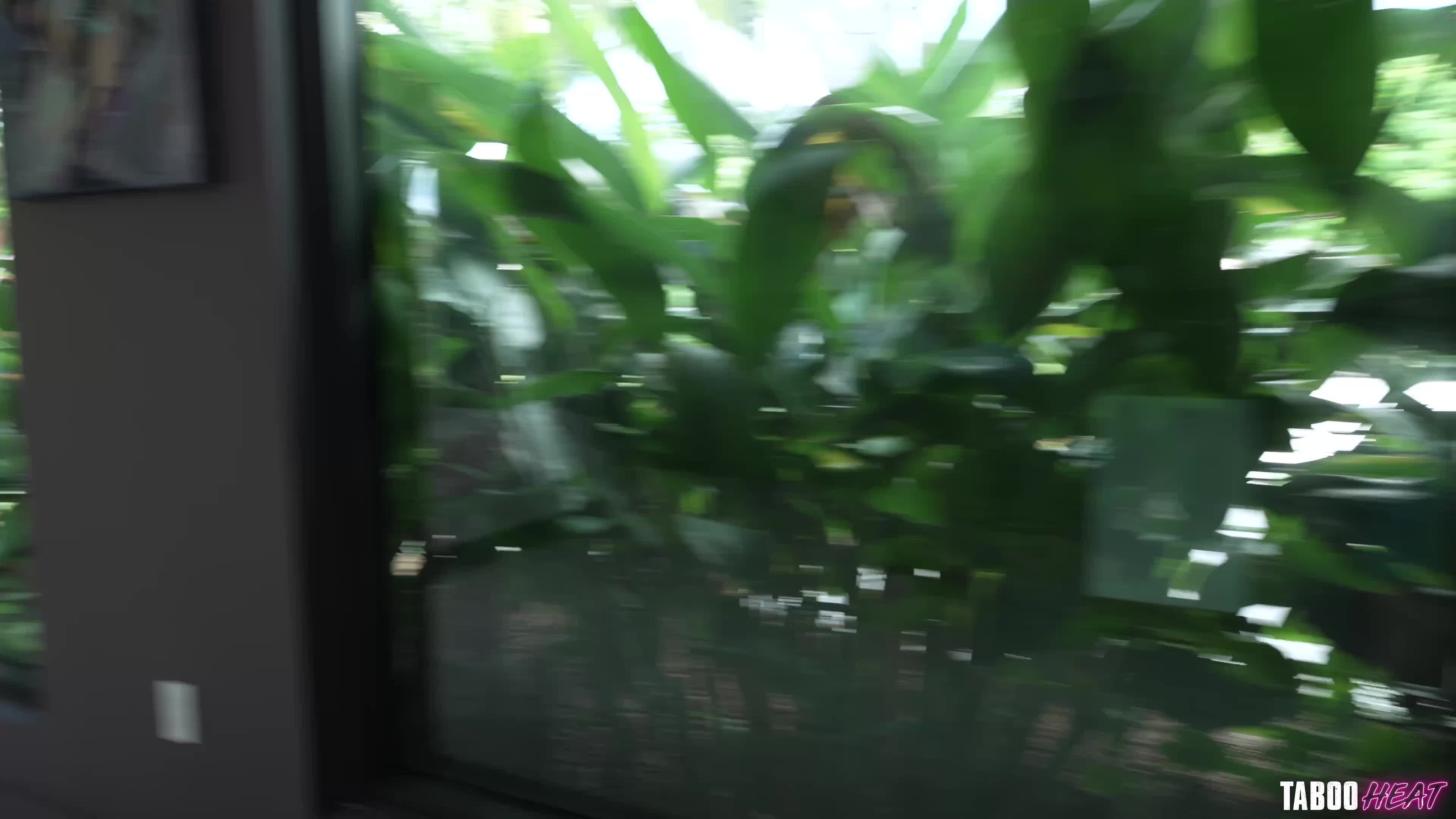 2048.hk@TabooHeat.25.10.31.Violet.Voss.Amiee.Cambridge.XXX.2160p