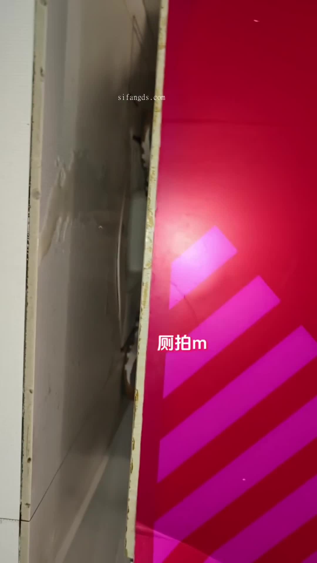 2048.vip-厕拍达人大型商场女厕拍脸拍逼多位女性，带着高端设备现场偷拍高清特写私处~炸裂