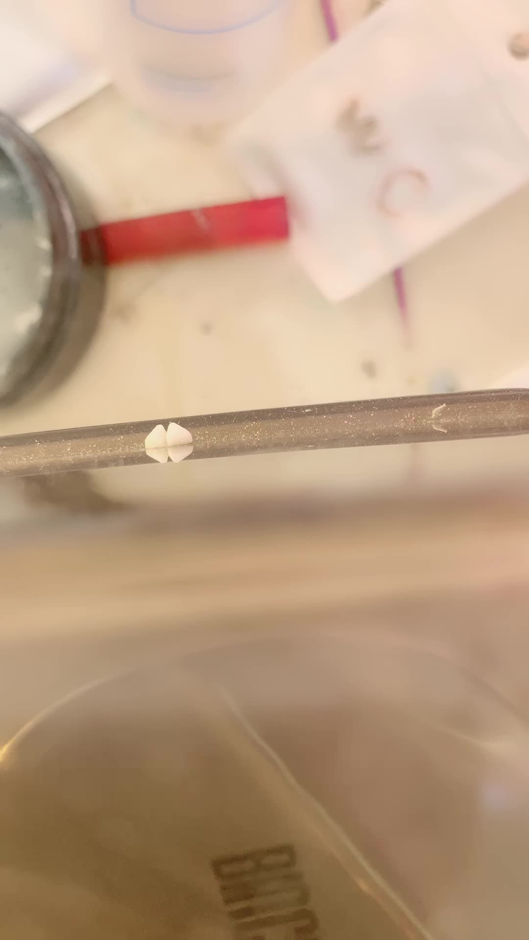 2048.hk@后入希希要用力1月28日--1769585033