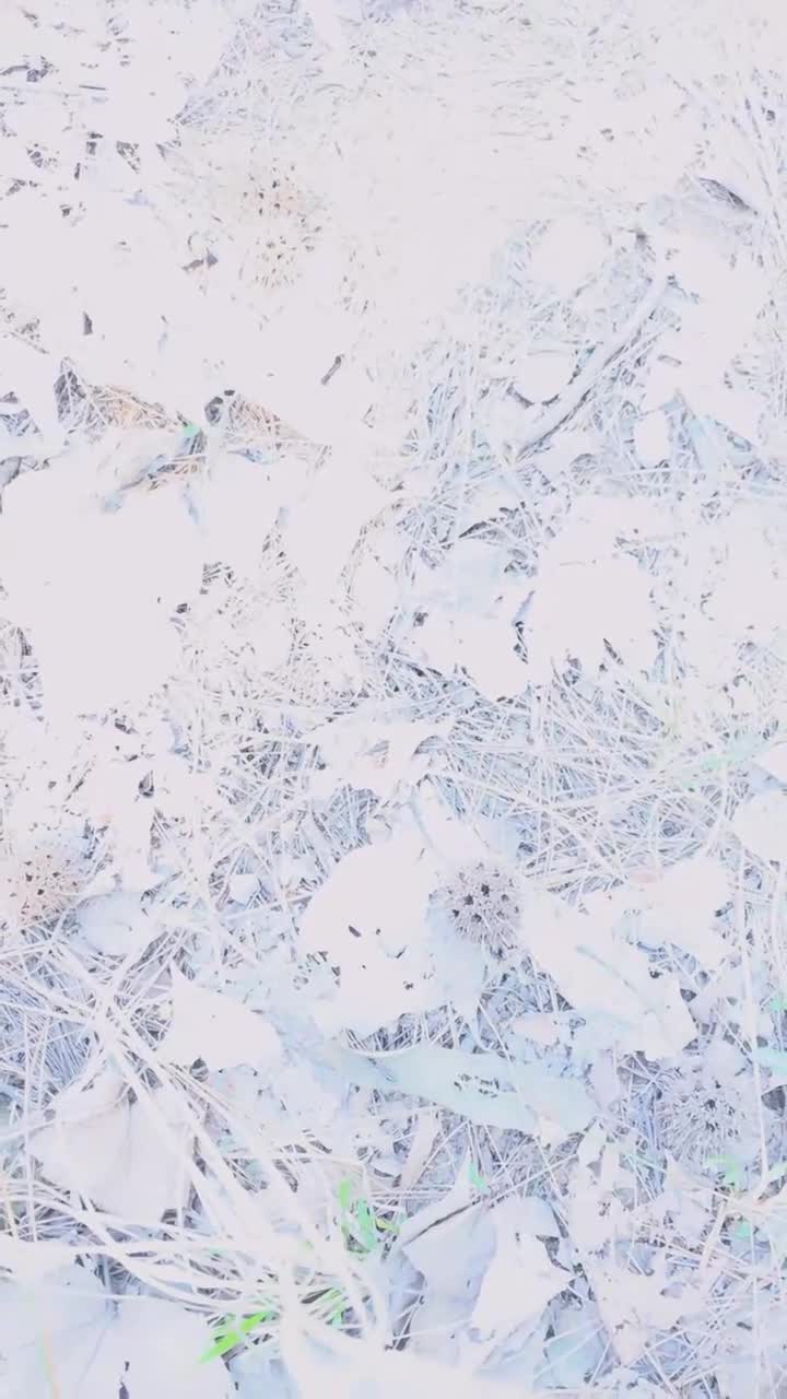 2048.hk@97128753_艳艳呀_20240330_123851