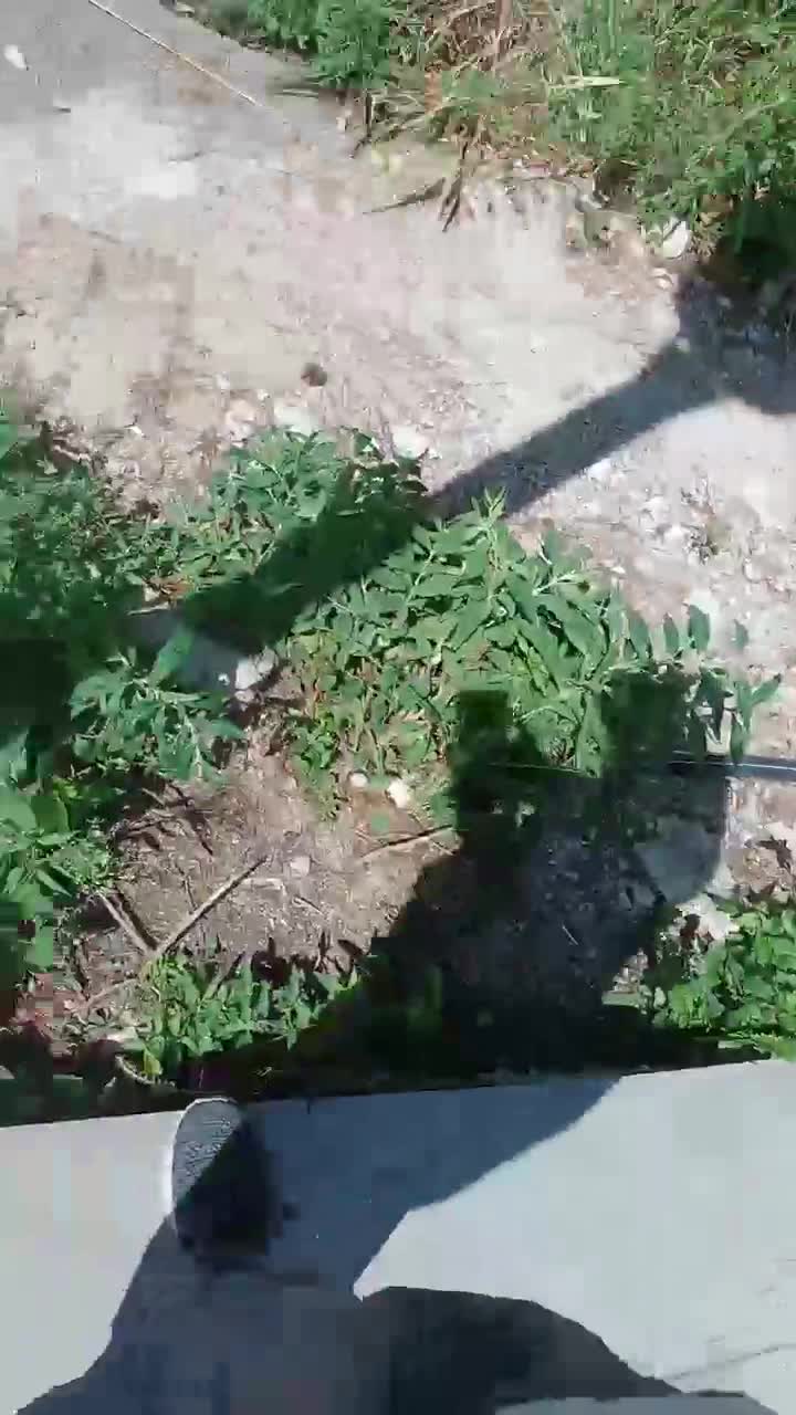 2048.hk@97128753_艳艳子_20220905_104324