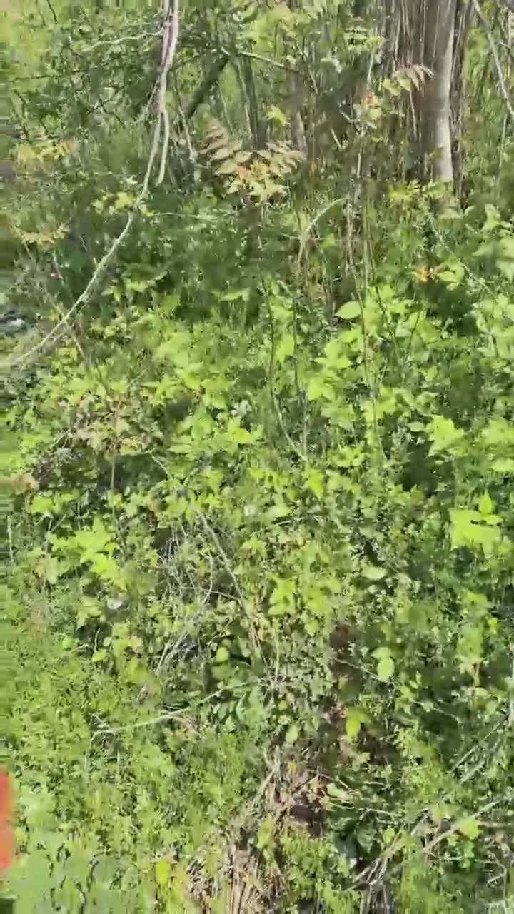 2048.hk@97128753_艳艳呀_20240330_122351