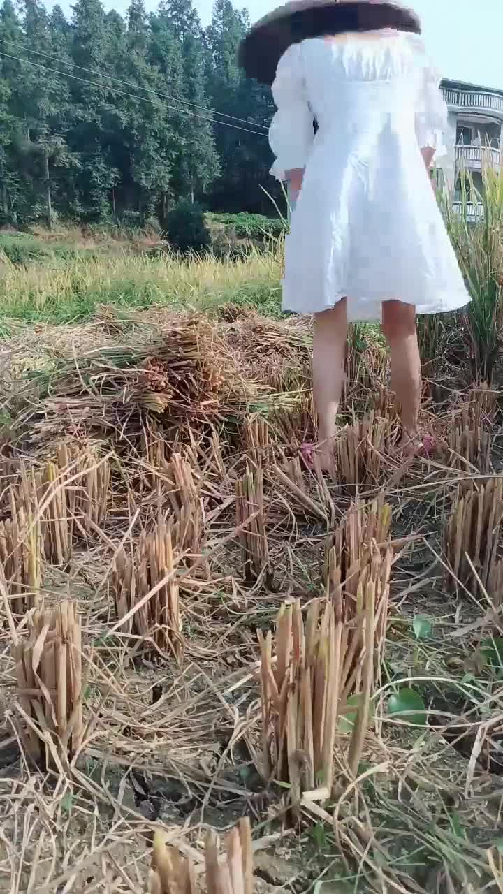 2048.hk@97128753_艳艳子_20220908_090925