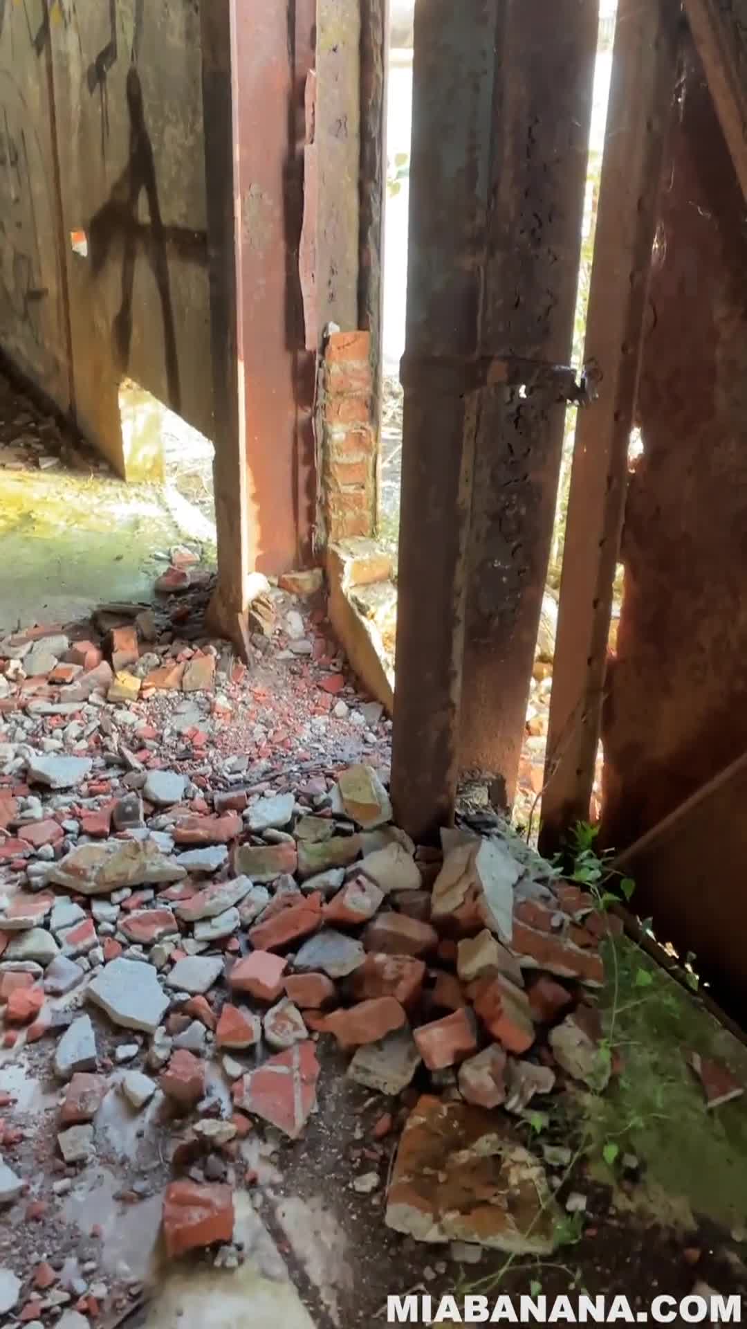 2048.hk@66154732_video_2024-11-04_17-30