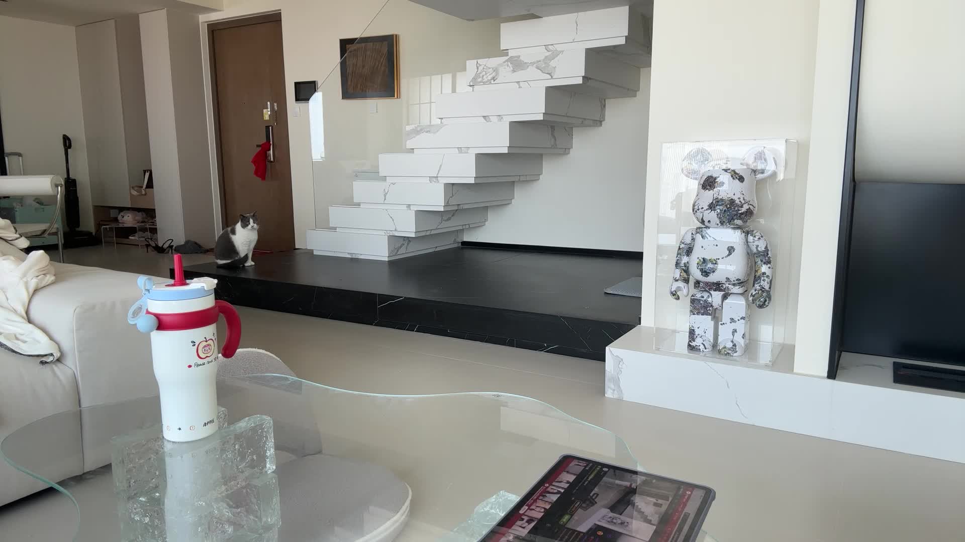 Bella-999_20260206_142151