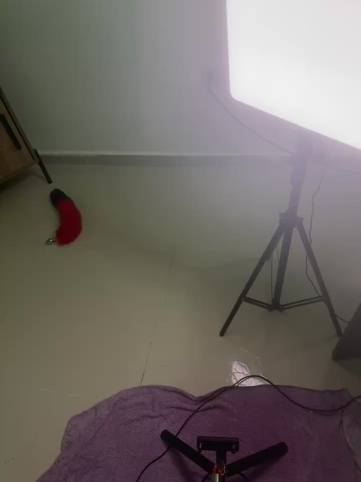 2048.hk@DIANITA_1988_20260214-014303