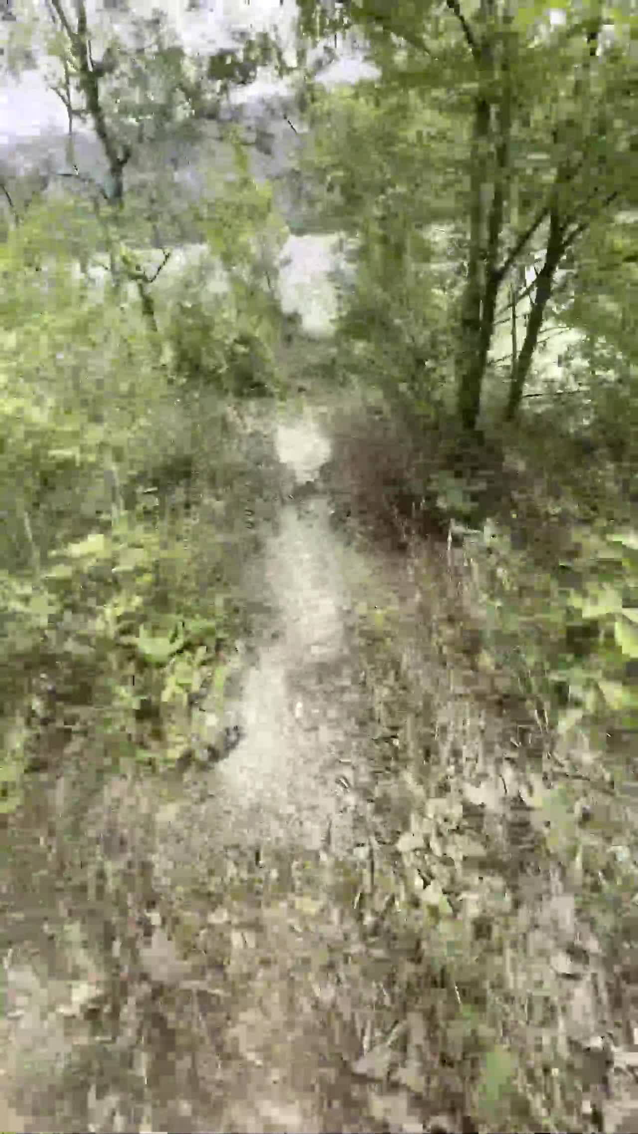 #少妇 #白虎 #反差 【独家热辣首播】与亲密姐姐野外露营钓鱼，在宁静水库畔无人打扰时，褪去衣物展开激情缠绵，却被路人大爷意外打断，一边争执一边继续亲热爱抚，镜头清晰捕捉那刺激瞬间下的狂野高潮喷涌全程（尽情品尝舔舐干净），诱惑无限的户外狂欢等你探索！点击下载同款APP 绝美母狗等你调教