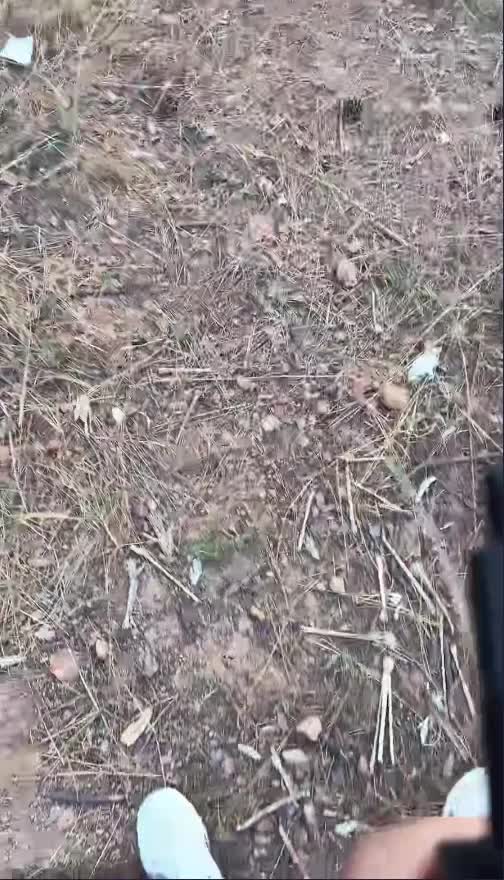 2048.vip-精品推荐 【农村美少女】户外野战车震小草丛无套啪啪内射 后入骑射