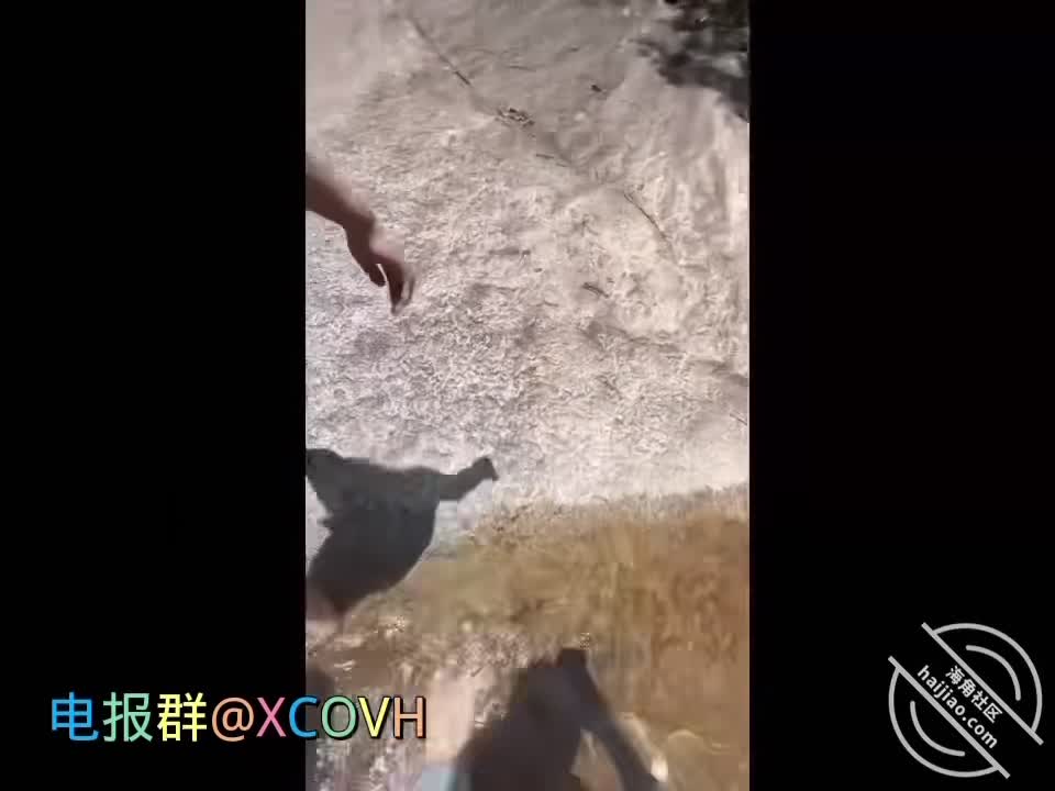 #乱伦 #少妇 #人妻 #姐弟 姐姐叫我一起去露营中途吃了点东西 然后和姐姐到山洞里操了她 舌吻舔奶口交吃鸡 后入狂干点击置顶观看和舅妈乱伦视频