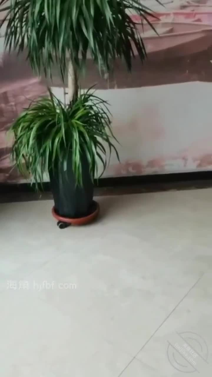 #把我当备胎3年的小姨子【海角精选】矿泉水瓶爆插小姨子骚逼！这样的骚逼就得这样干。使劲蹂躏骚逼才行！