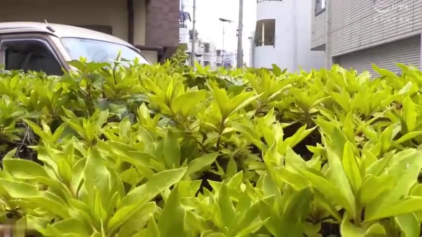 2048.vip-孕妇性爱】尾随强奸人妻少妇没想到还有还是和哺乳期奶子可把小哥给高兴坏了马上电话叫兄弟一起来又吃又干